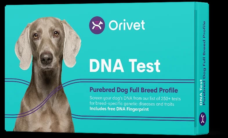DNA Test 3D view