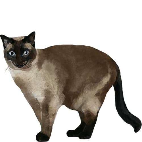 319