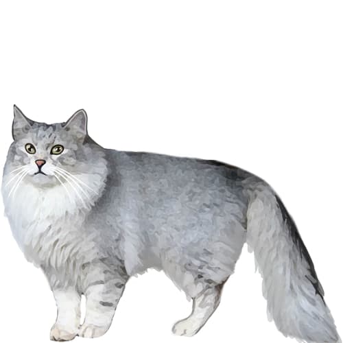 320