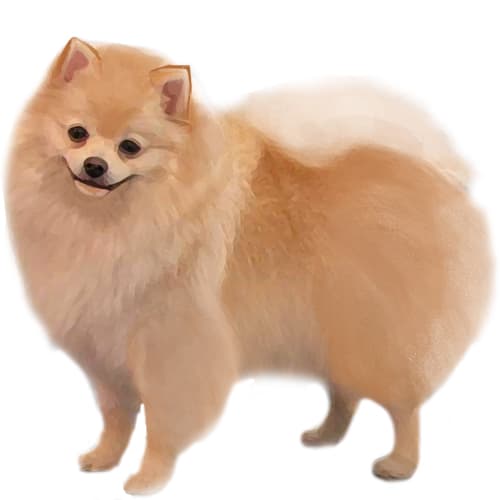 381