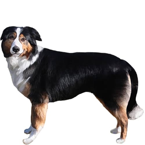 551