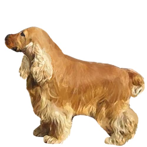 675