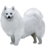 756