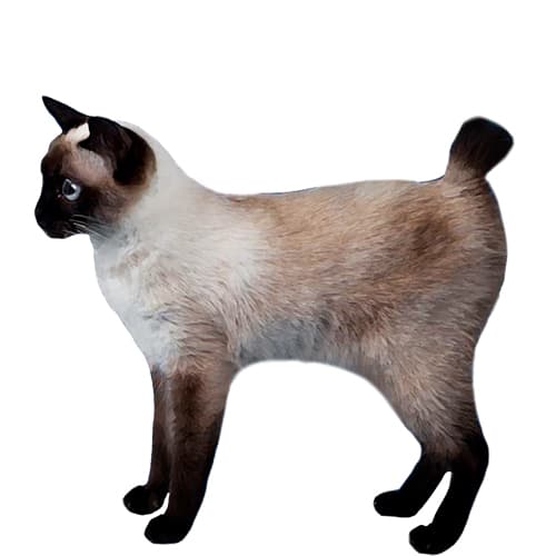 810