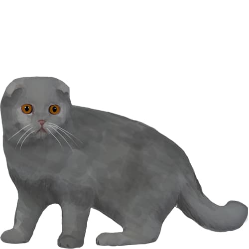 834