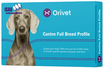Purebred Dog Full Breed Profile