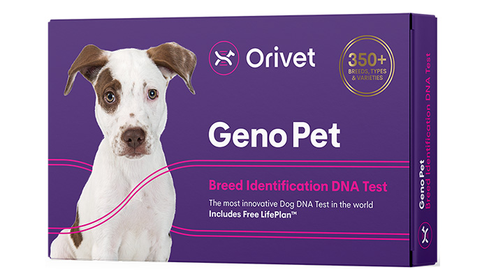 Geno Pet Dog Breed Identification Test